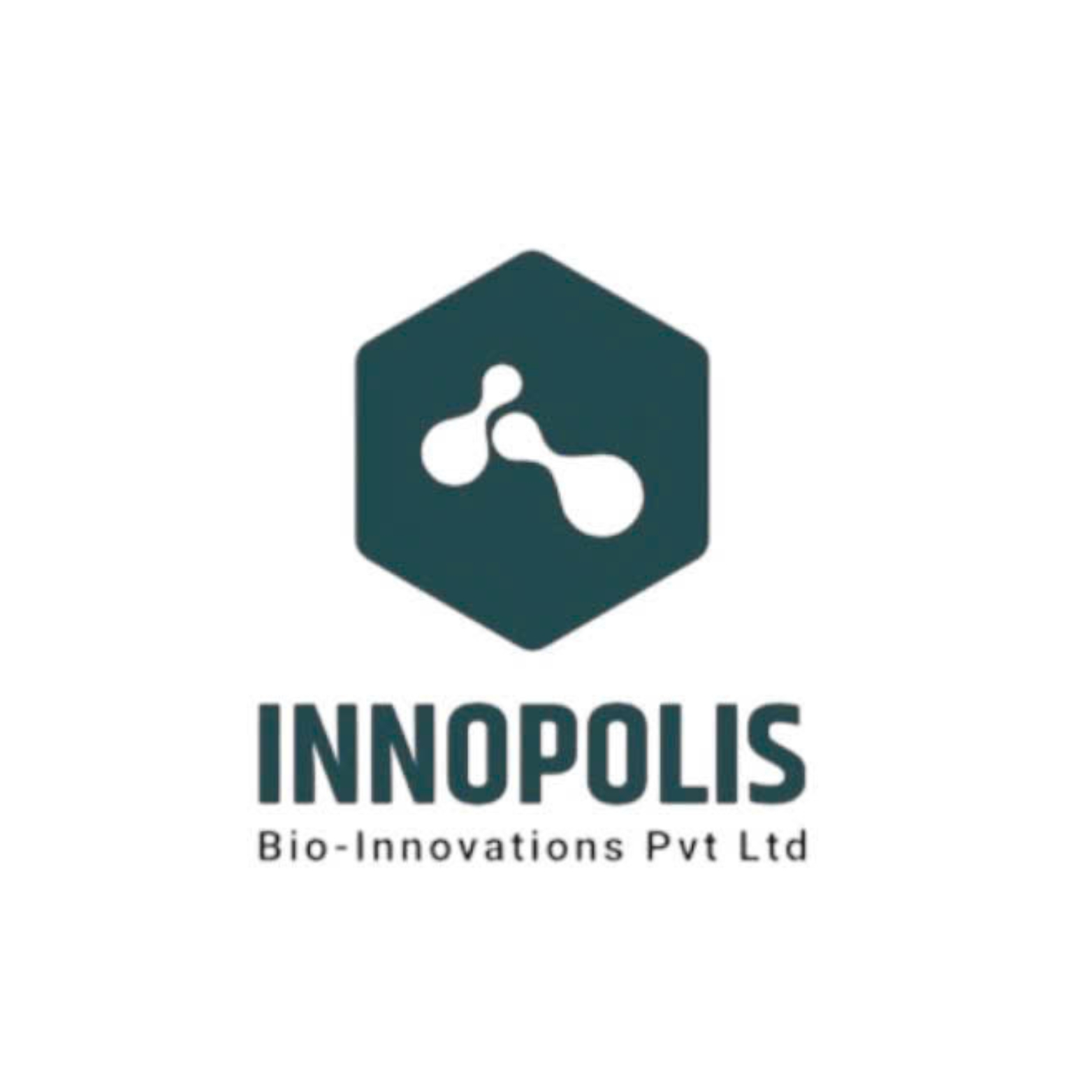 https://innopolis.co.in/
