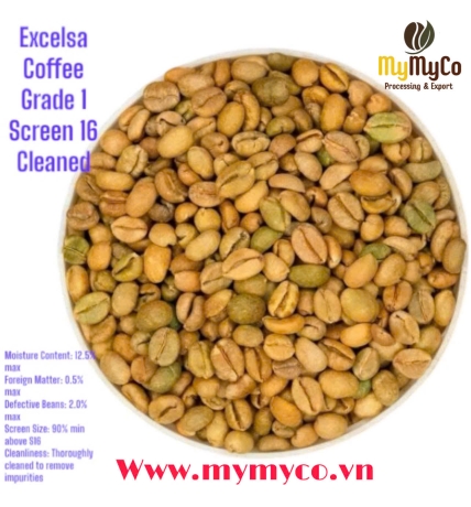 Green Coffee Bean 