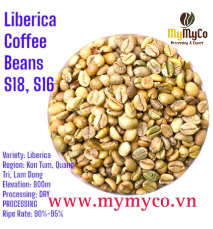 Green Coffee Bean 