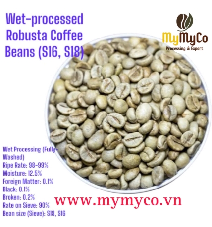 Green Coffee Bean 