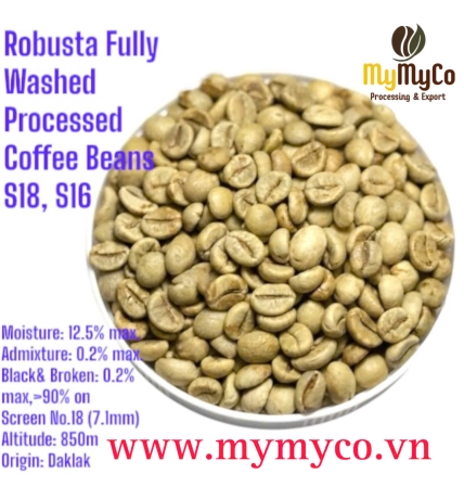 Green Coffee Bean 