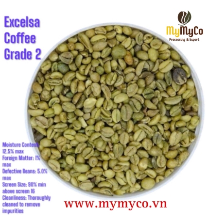 Green Coffee Bean 
