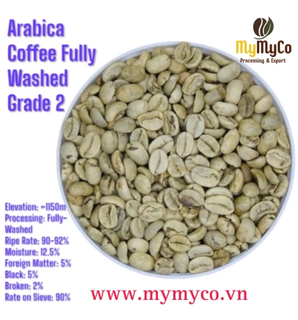 Green Coffee Bean 