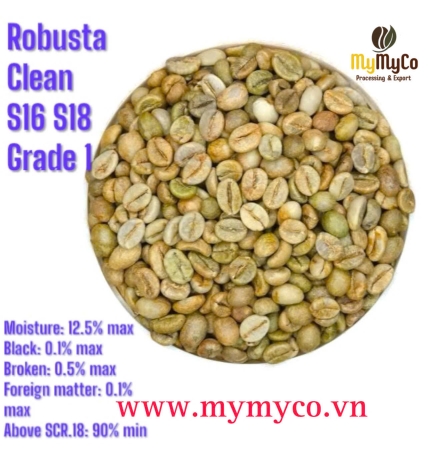 Green Coffee Bean 