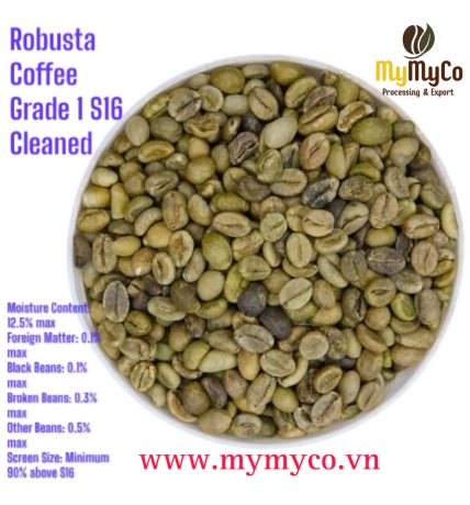 Green Coffee Bean 