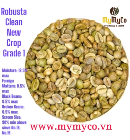 Green Coffee Bean 