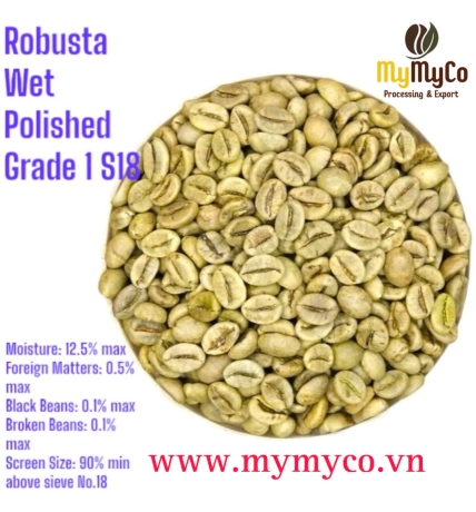 Green Coffee Bean 