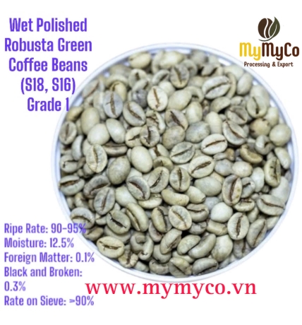 Green Coffee Bean 